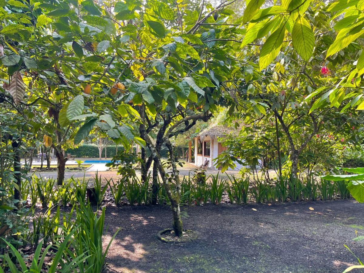 El Campito Lodge Ayampe Εξωτερικό φωτογραφία