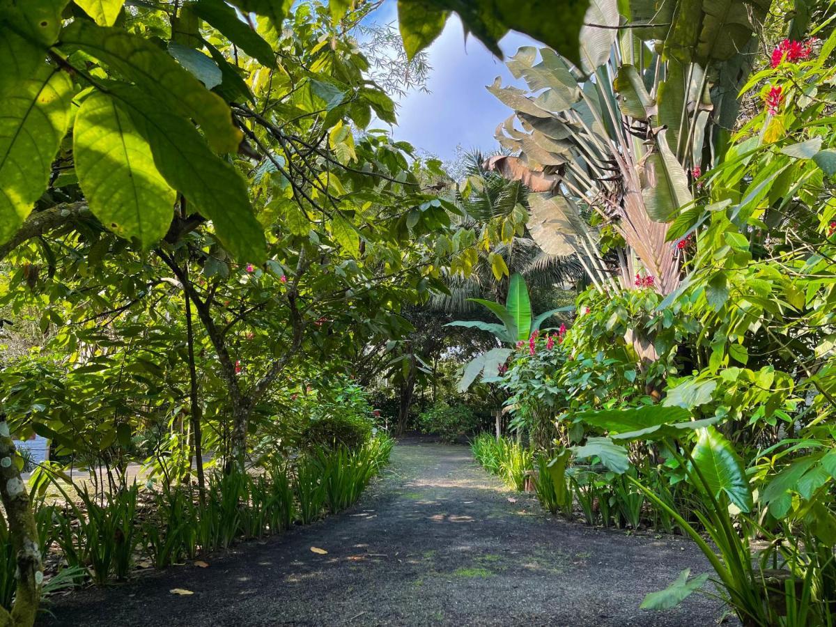El Campito Lodge Ayampe Εξωτερικό φωτογραφία