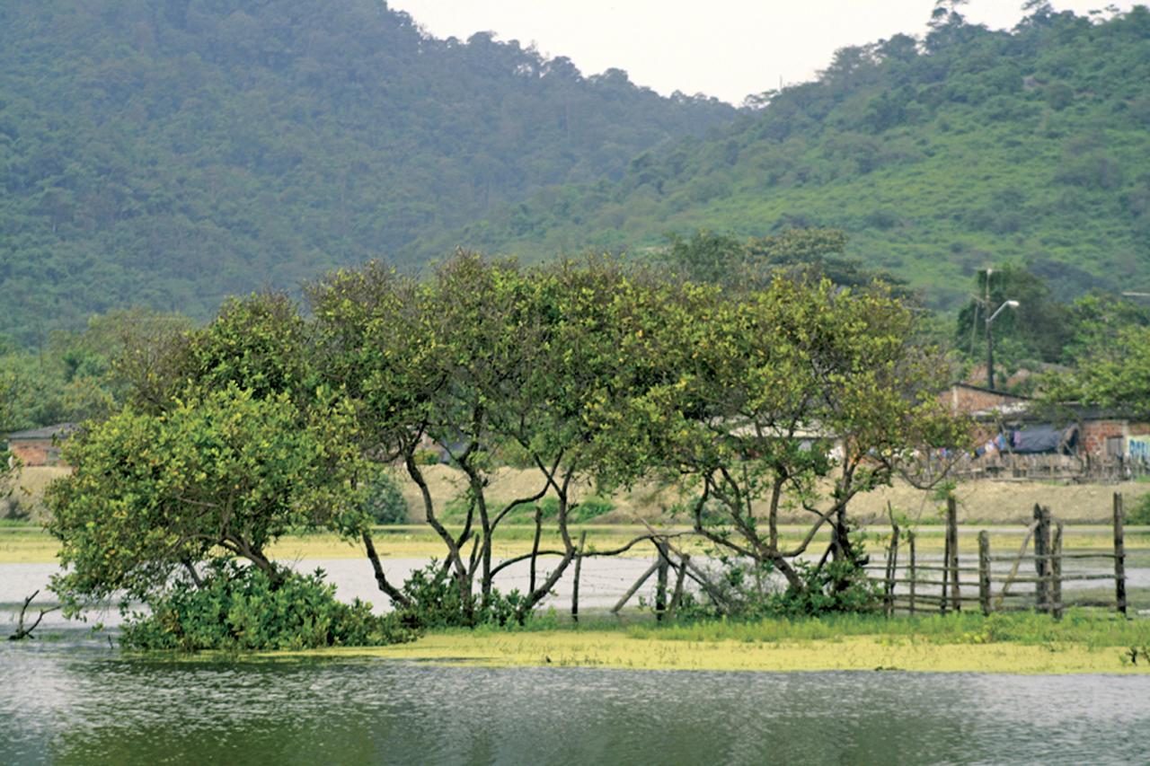 El Campito Lodge Ayampe Εξωτερικό φωτογραφία